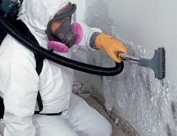 Yardley, PA Mold Removal Company